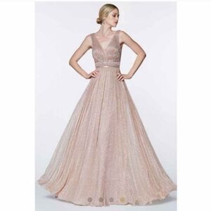NWOT Cinderella Divine Metalic Gown With Beaded Banded Belt And V-Neckline 18